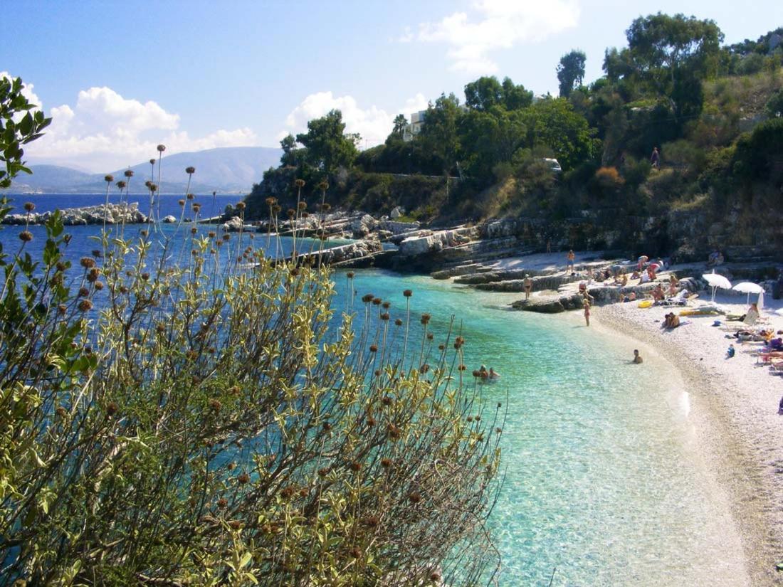 Apartament Dany Kassiopi